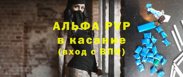 сатива Ростов