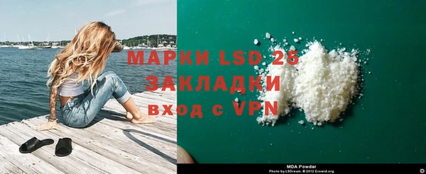 сатива Ростов