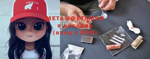 сатива Ростов