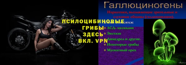 сатива Ростов