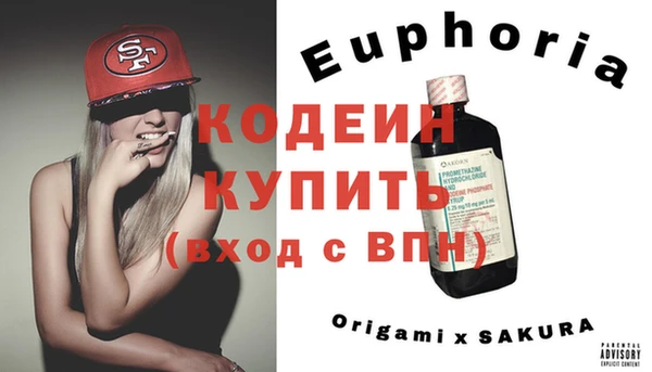 сатива Ростов