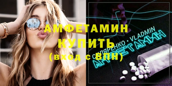 сатива Ростов