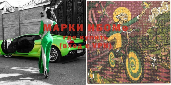сатива Ростов