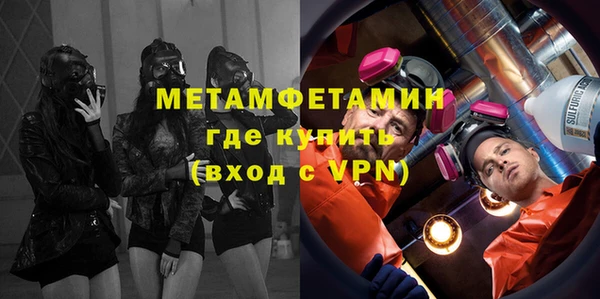 сатива Ростов