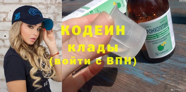 сатива Ростов