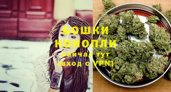 амф Россошь
