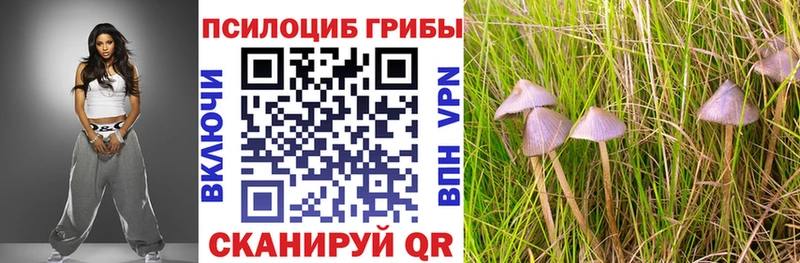 Псилоцибиновые грибы GOLDEN TEACHER  Бабаево 