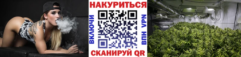 цены наркотик  Бабаево  Марихуана марихуана 